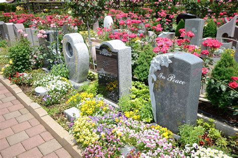 墓 植物|お墓に植える植物 